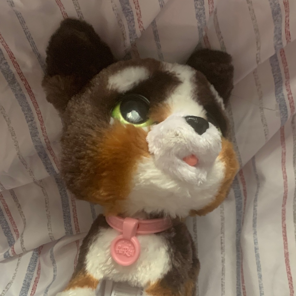 Adorable Brown and White Plush Puppy Toy - Picture 7 of 8